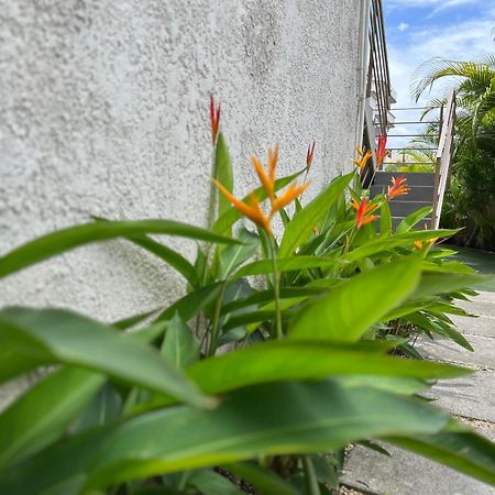 Cosy 2 Bedrooms Apts In Pereybere -Seasons Break Apartment Pereybere Beach Eksteriør bilde