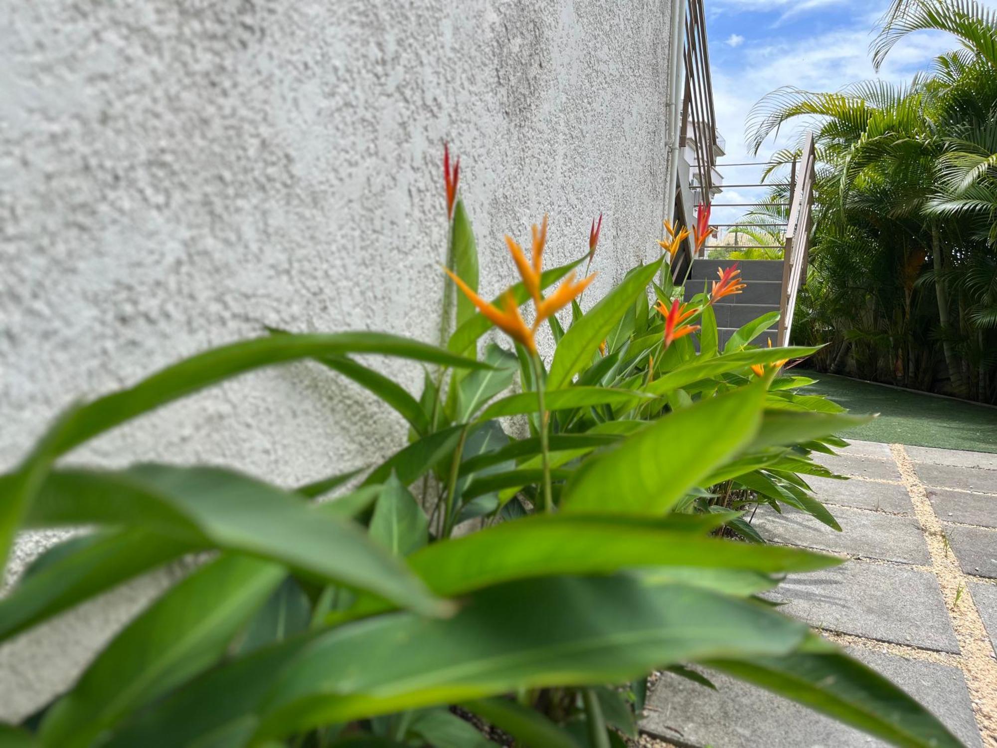 Cosy 2 Bedrooms Apts In Pereybere -Seasons Break Apartment Pereybere Beach Eksteriør bilde